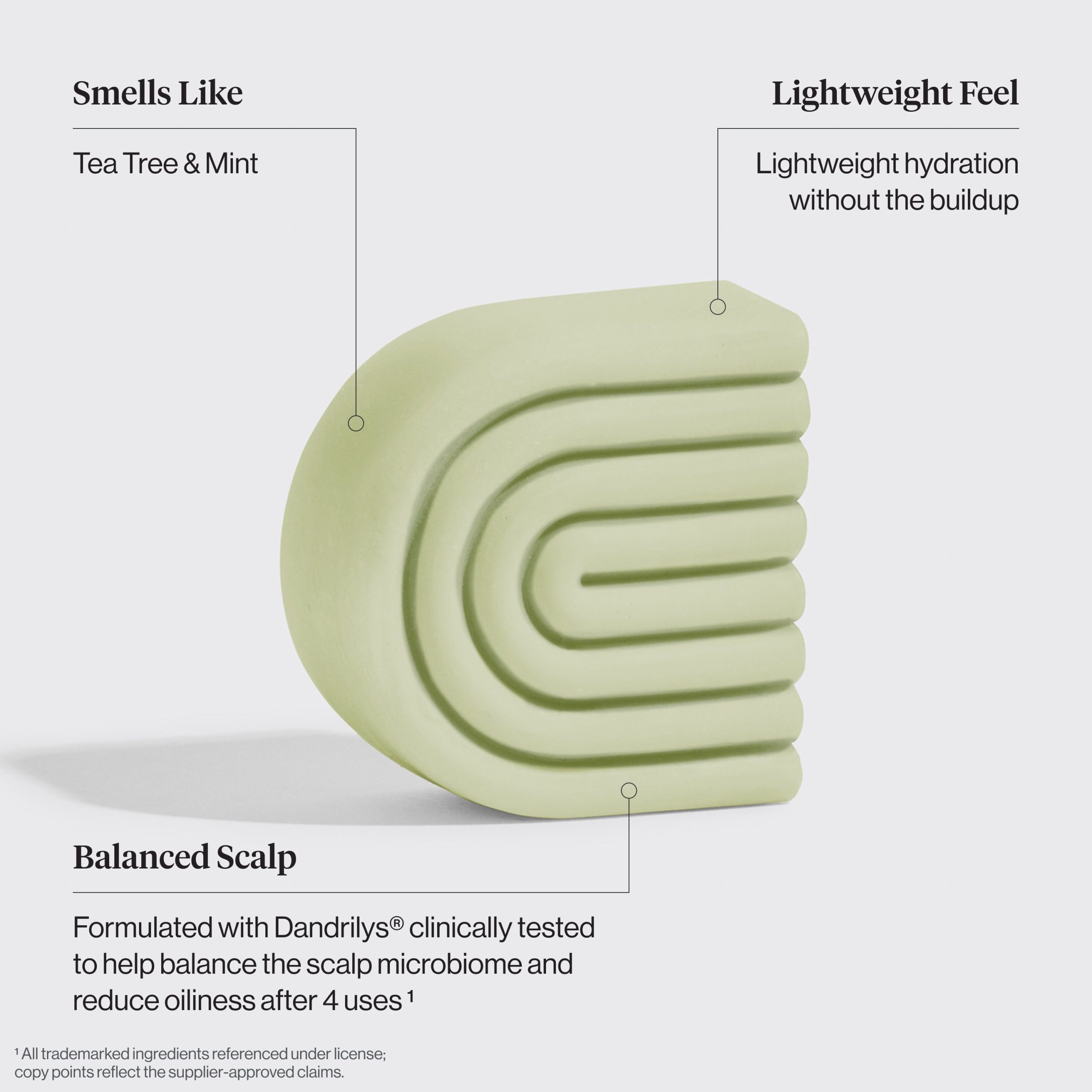Tea Tree & Mint Clarifying Shampoo & Conditioner Bar Combo - Image 5