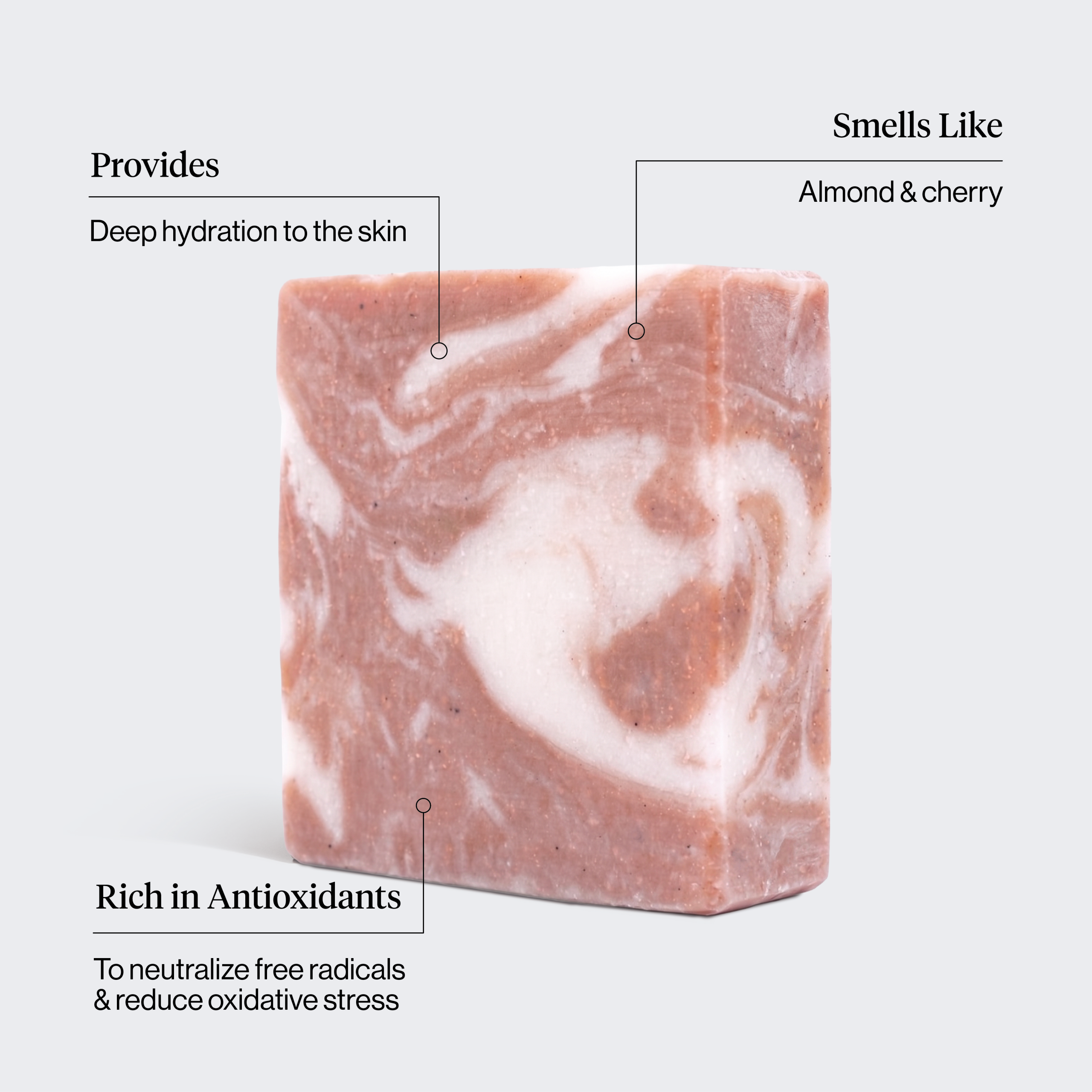 Shea Butter Exfoliating Body Wash - Image 3